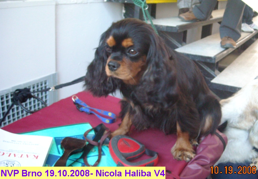 DSCN0959.jpg