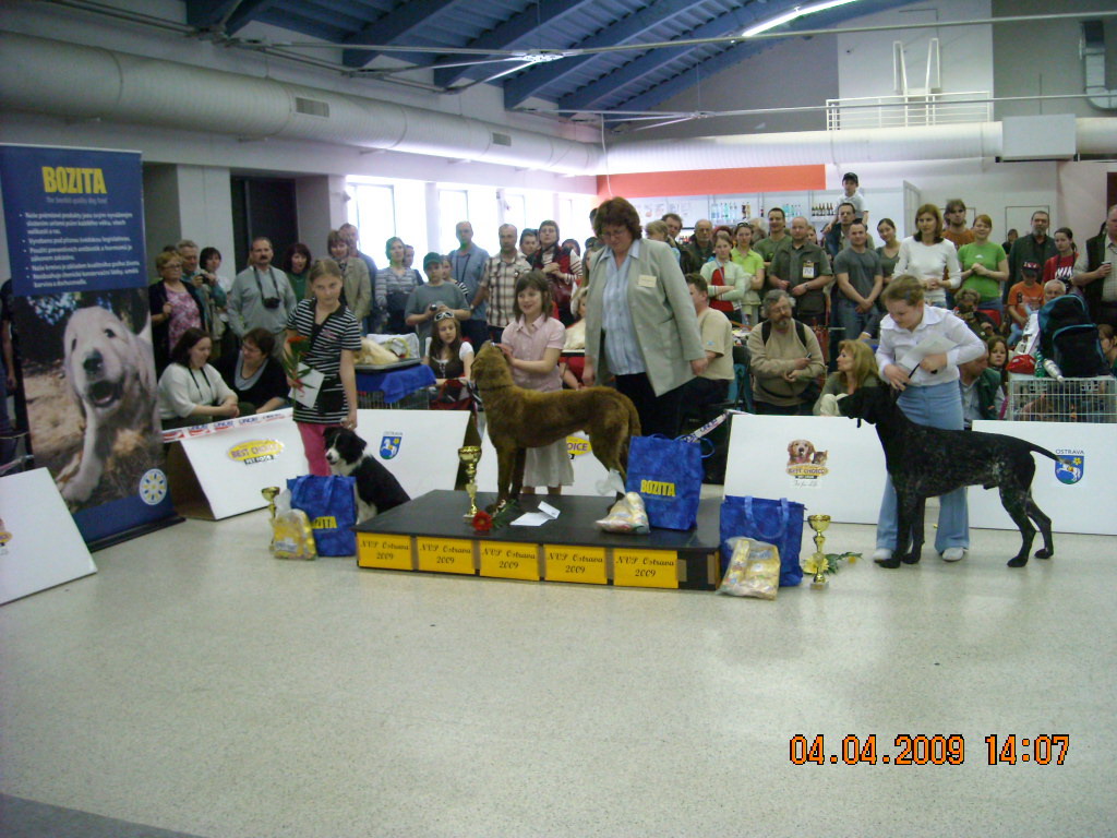 NVP Ostrava