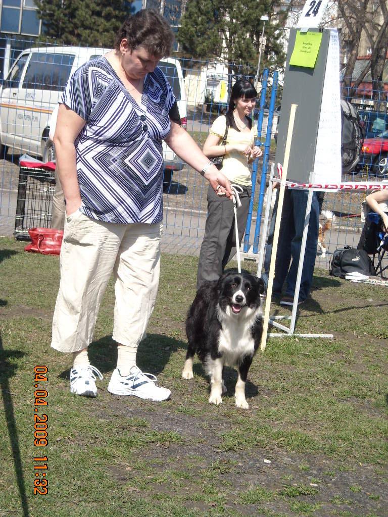 NVP Ostrava 2009