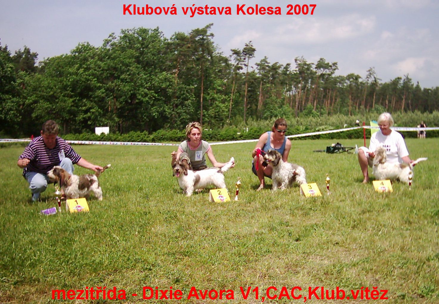 Klubová výstava Basset-2007 004.jpg