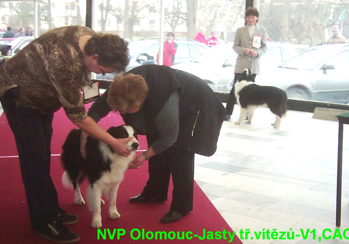 NVP Olomouc 13.1.2008 006.jpg
