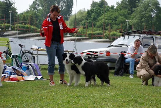 DSC_03922007-06-02.jpg