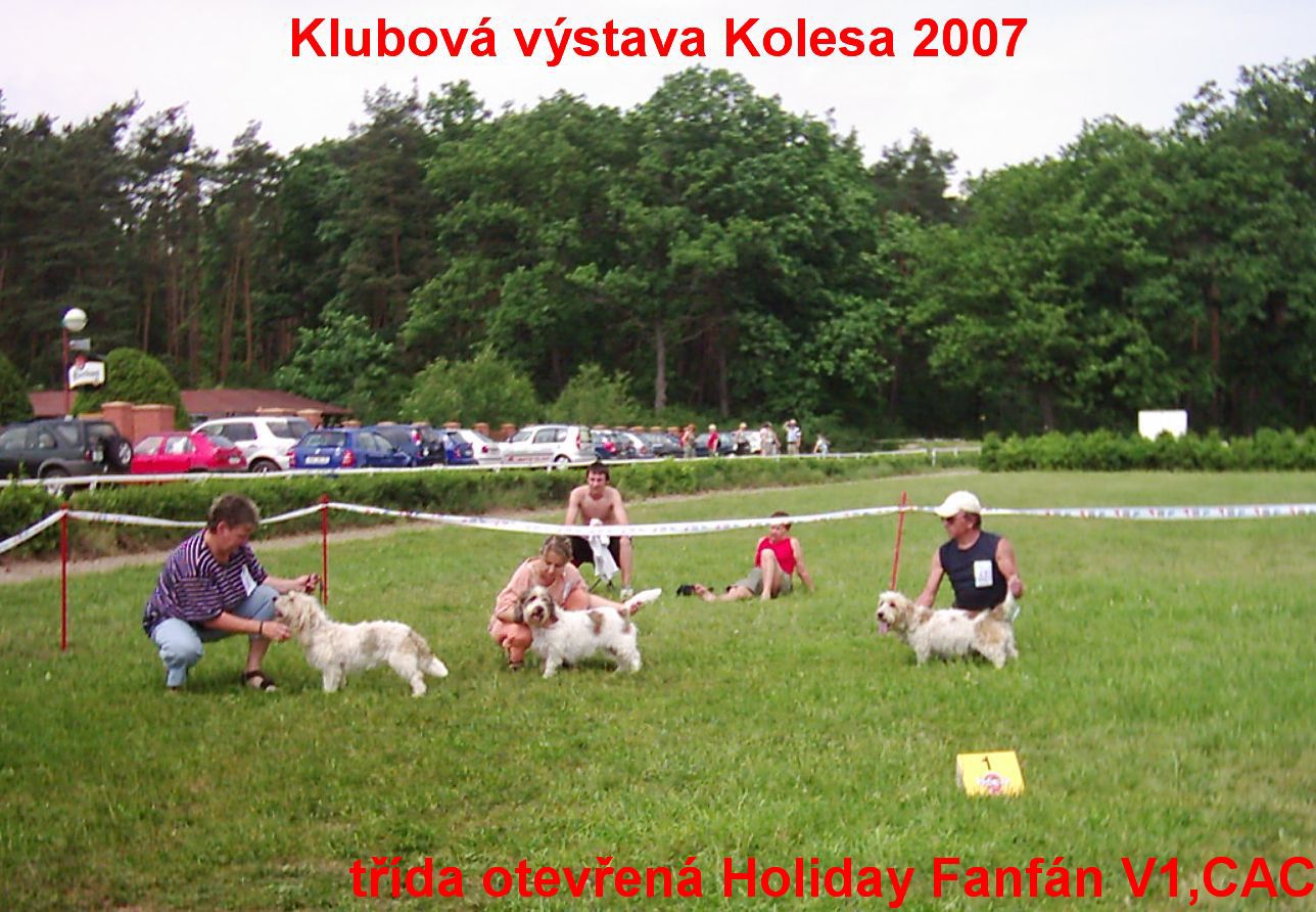 Klubová výstava Basset-2007 006.jpg