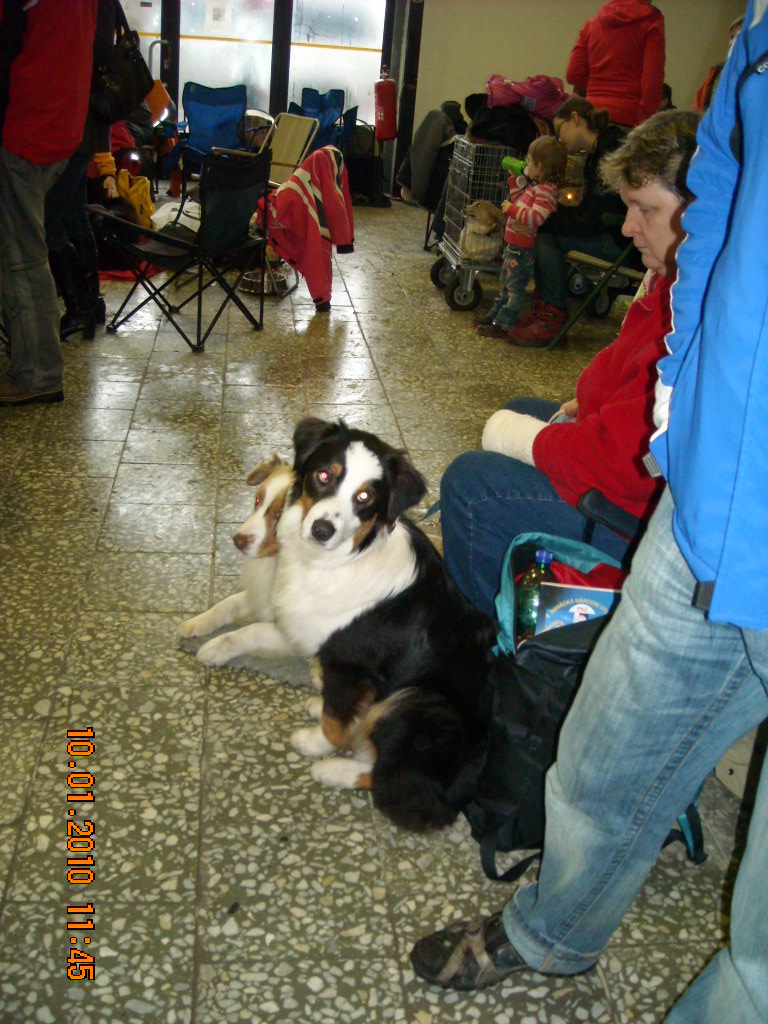 NVP OLOMOUC 2010 008.jpg