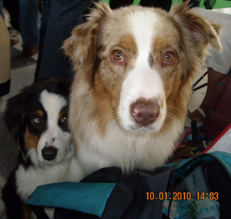NVP OLOMOUC 2010 010.jpg
