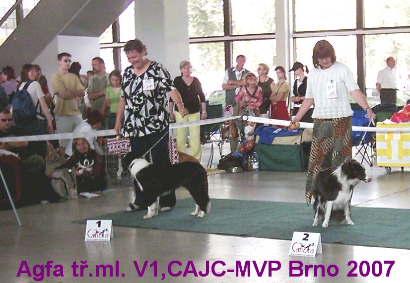MVP BRNO 23.6.2007 003.jpg