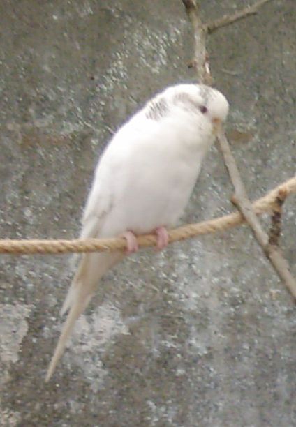 26.1.2008 019.jpg