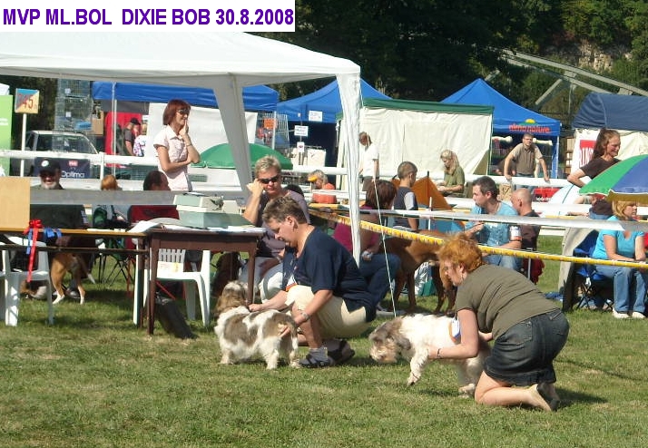 DSCN0528.jpg