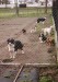 18.3.2007 016.jpg