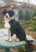 DSCN1014.jpg