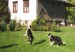 30.9.2007 004.jpg