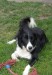 DSCN0265.jpg